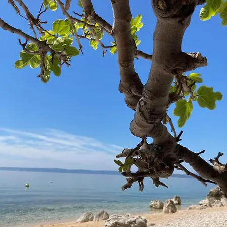 Kuca Za Odmor Baya * Stara Baška