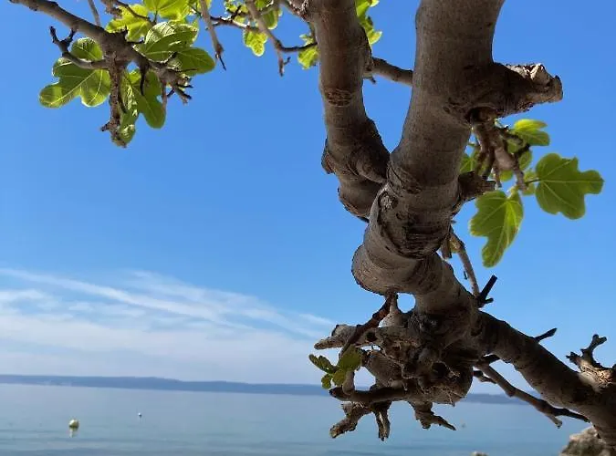 Kuca Za Odmor Baya * Stara Baška
